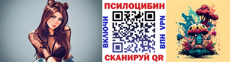 купить   Белый  Псилоцибиновые грибы мицелий 